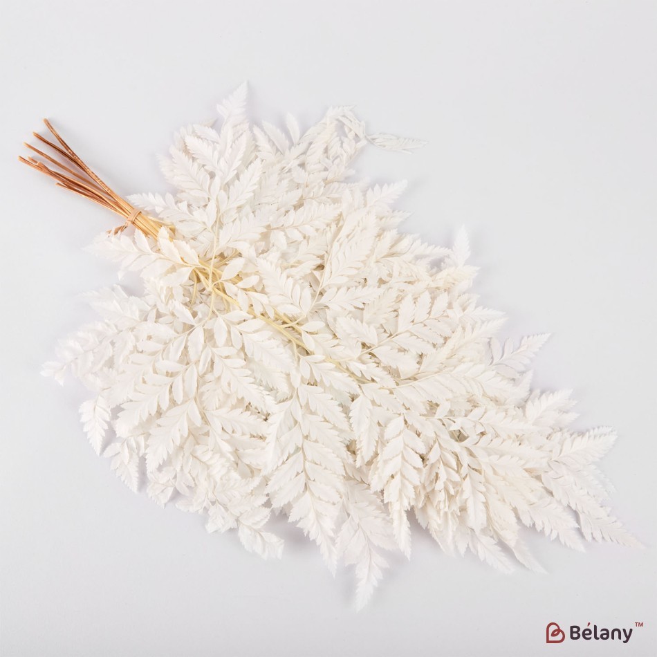 Flori uscate, alba, 65 grame