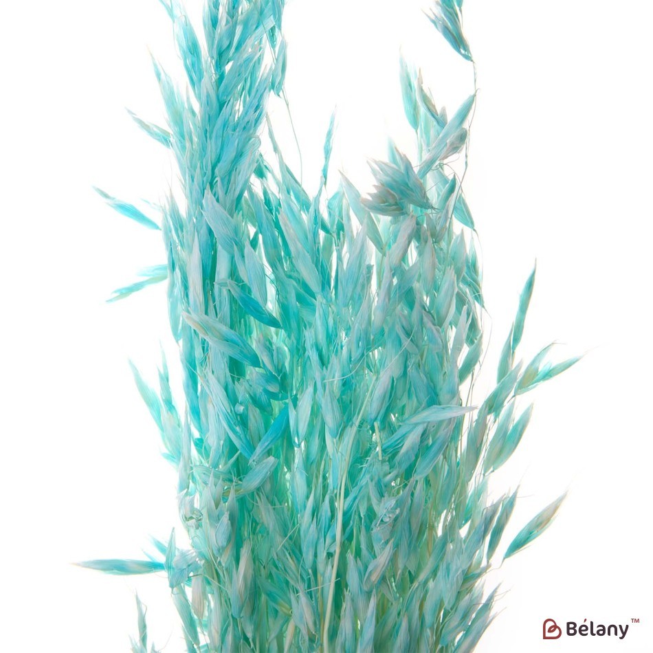 Flori de ovaz uscate, Albastru deschis, 60 grame | 2
