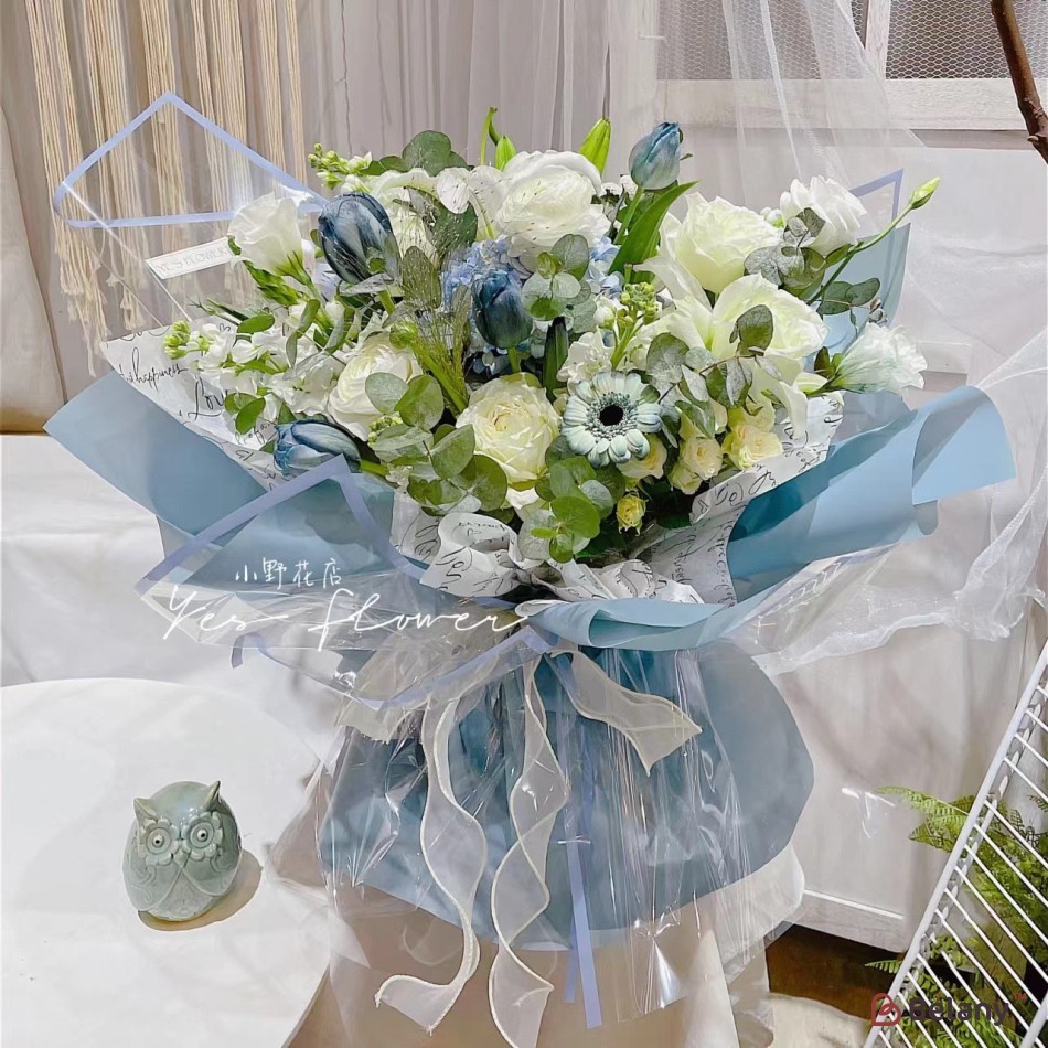 Celofan dungi "Line" piercica | 2