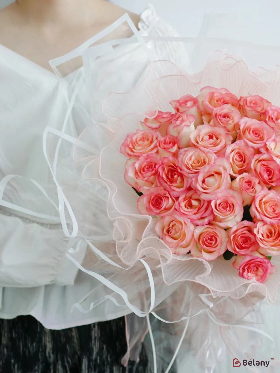 Celofan dungi "Line" piercica | 3