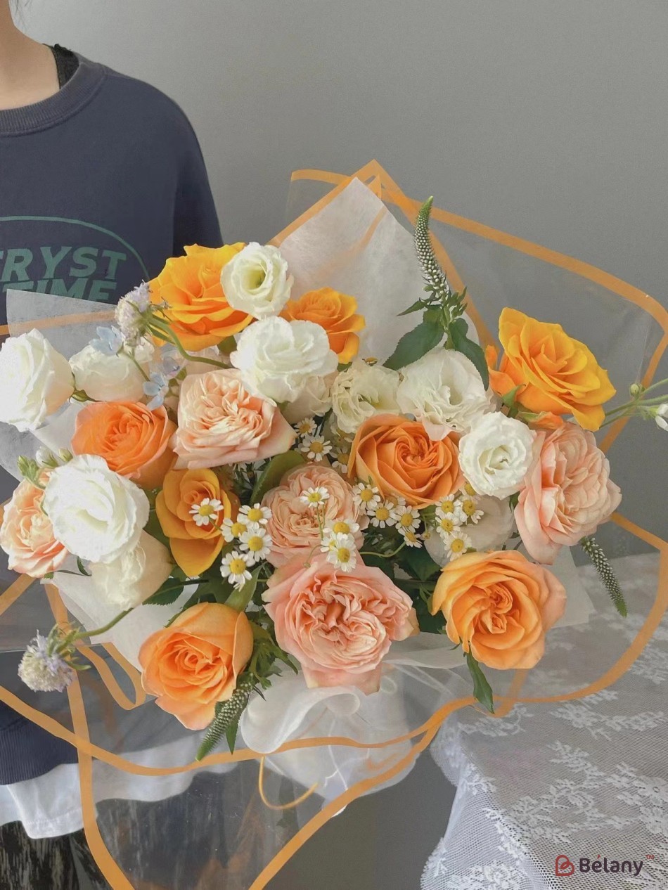 Celofan dungi "Line" piercica | 4