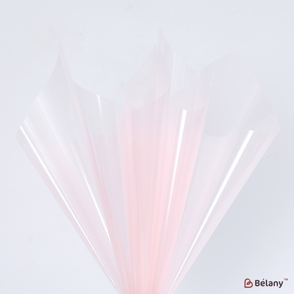 Celofan translucid „Glossy” #164