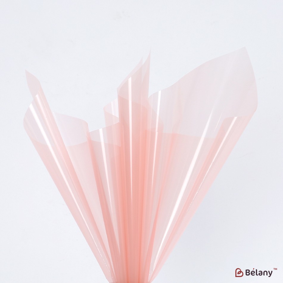Celofan translucid „Glossy” #161