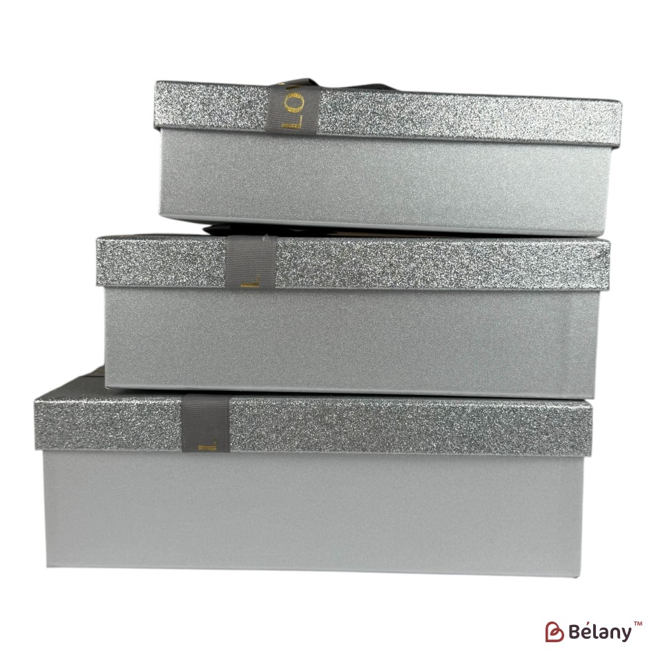 Set cutii dreptunghiulare 3 piese, argint "Cuty" | 2