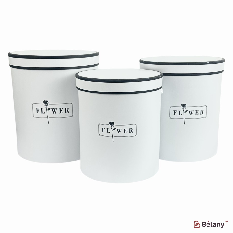 Set cutii pentru pălării albe "Dream" | 4