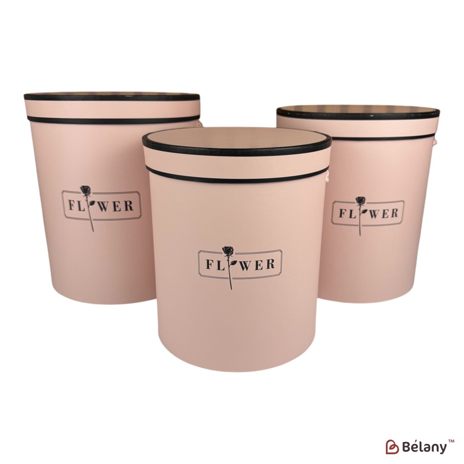 Set cutii pentru pălării deschis roz "Dream" | 3