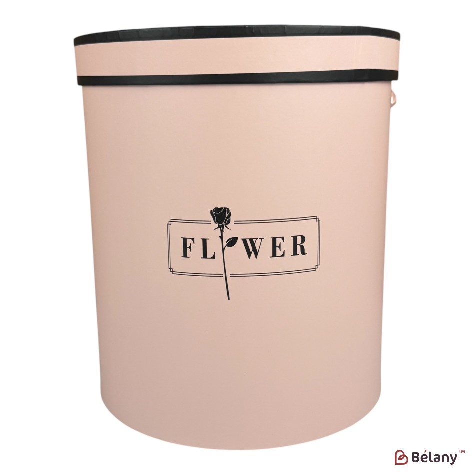 Set cutii pentru pălării deschis roz "Dream" | 2