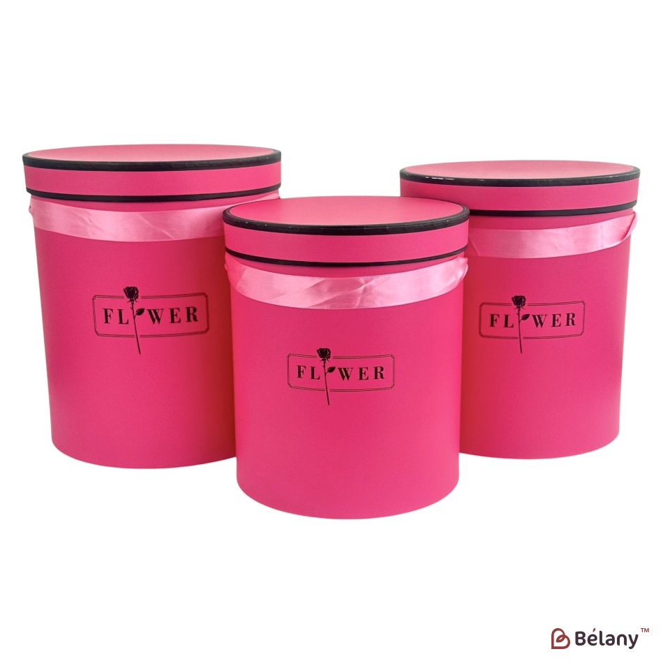 Set cutii pentru pălării zmeură "Dream" | 3