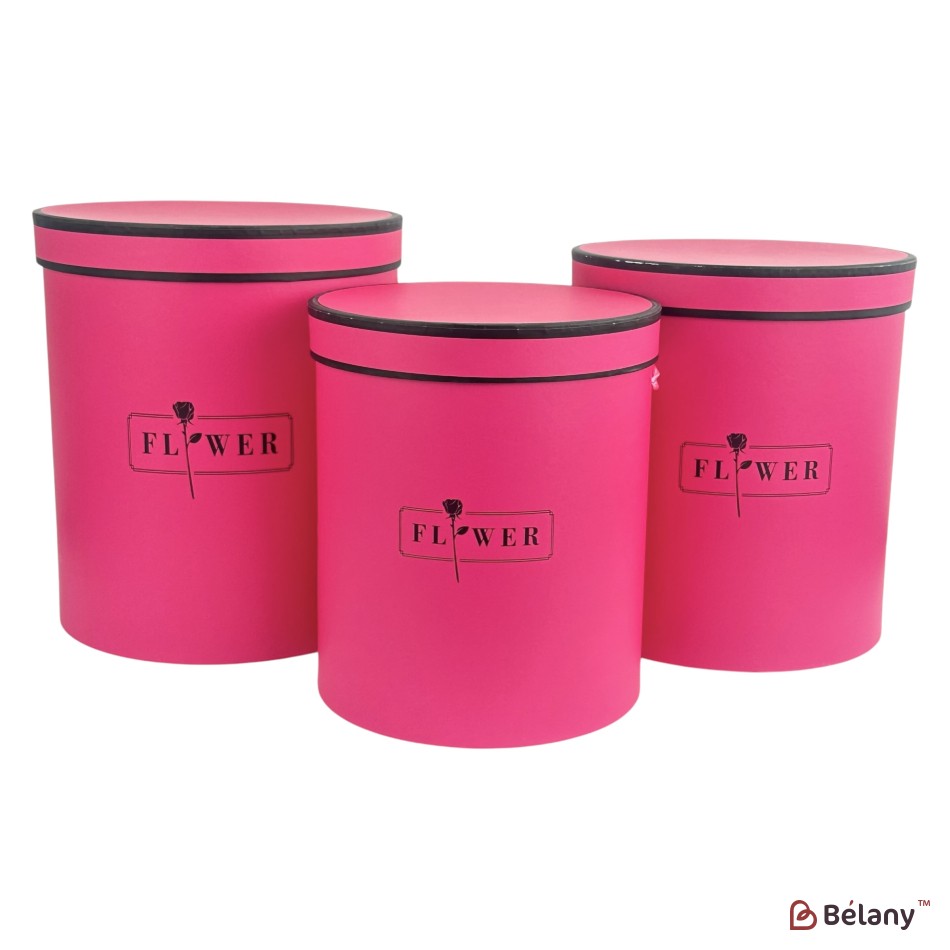 Set cutii pentru pălării zmeură "Dream" | 2