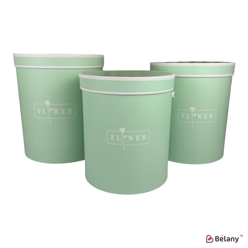 Set cutii pentru pălării verde "Dream" | 2