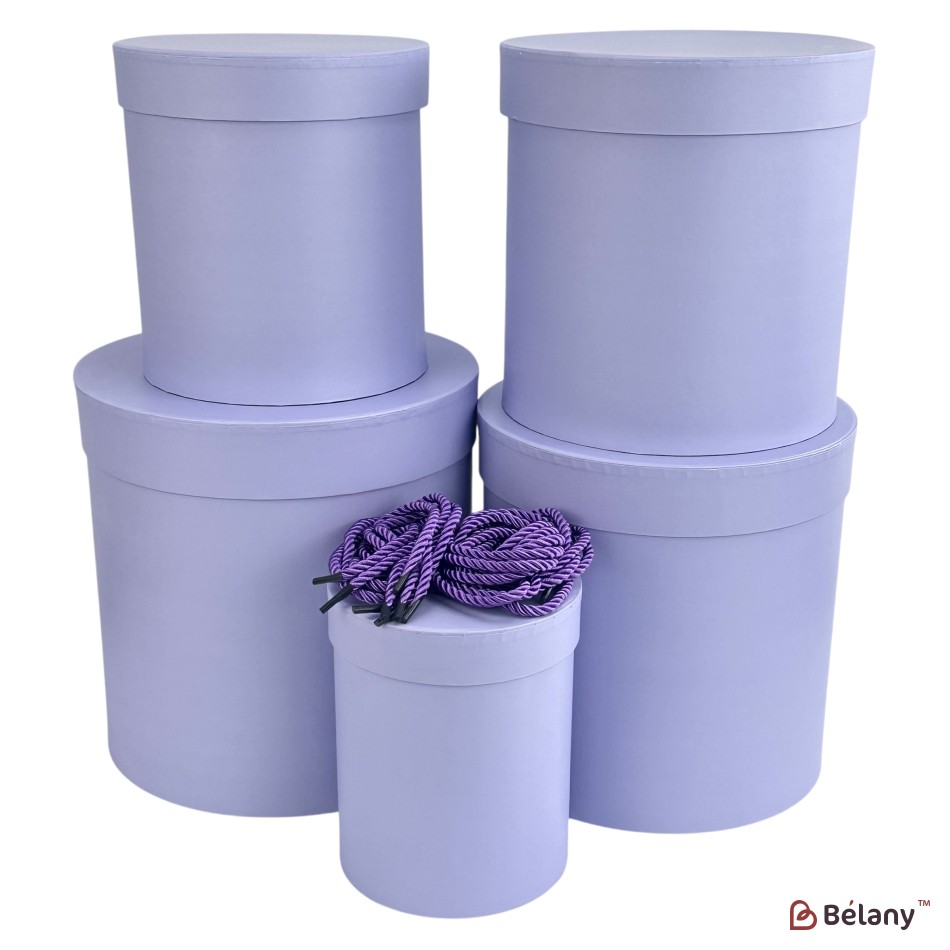 Set cutii pentru pălării violet deschis "One color" | 2