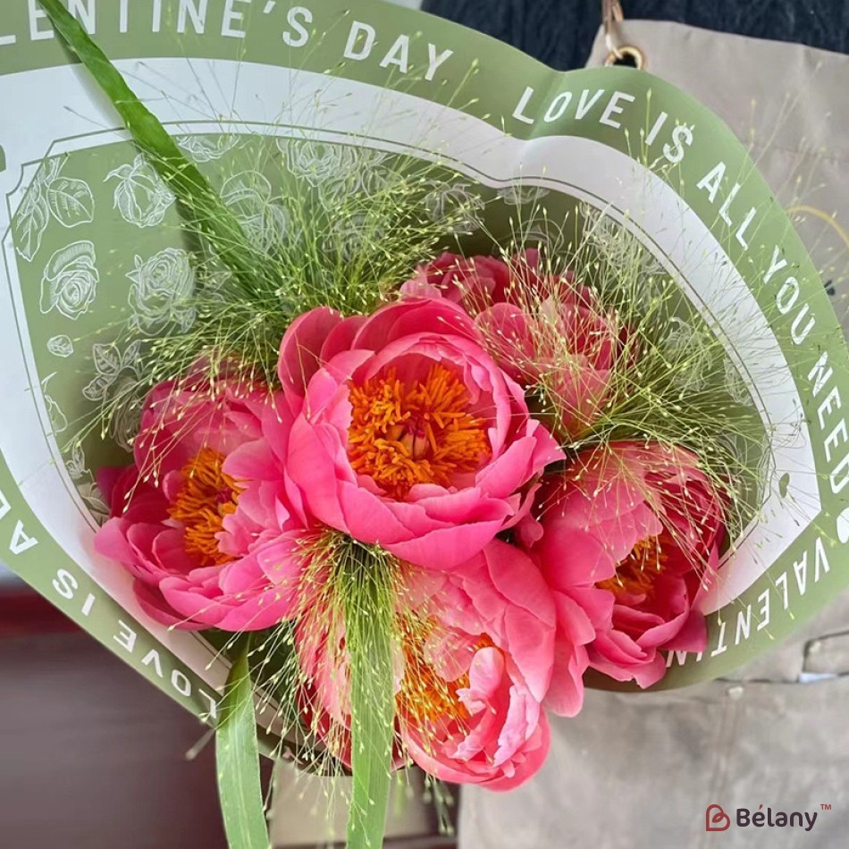 Celofan rosu "All you need" #203 | 3