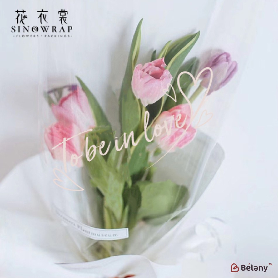 Celofan roll "Be in Love" #062 | 4