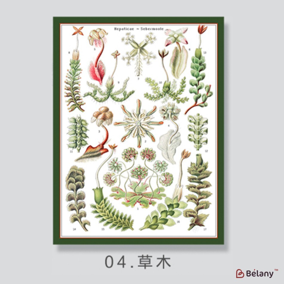 gift wrapping paper "Bloomy", 85g, #04
