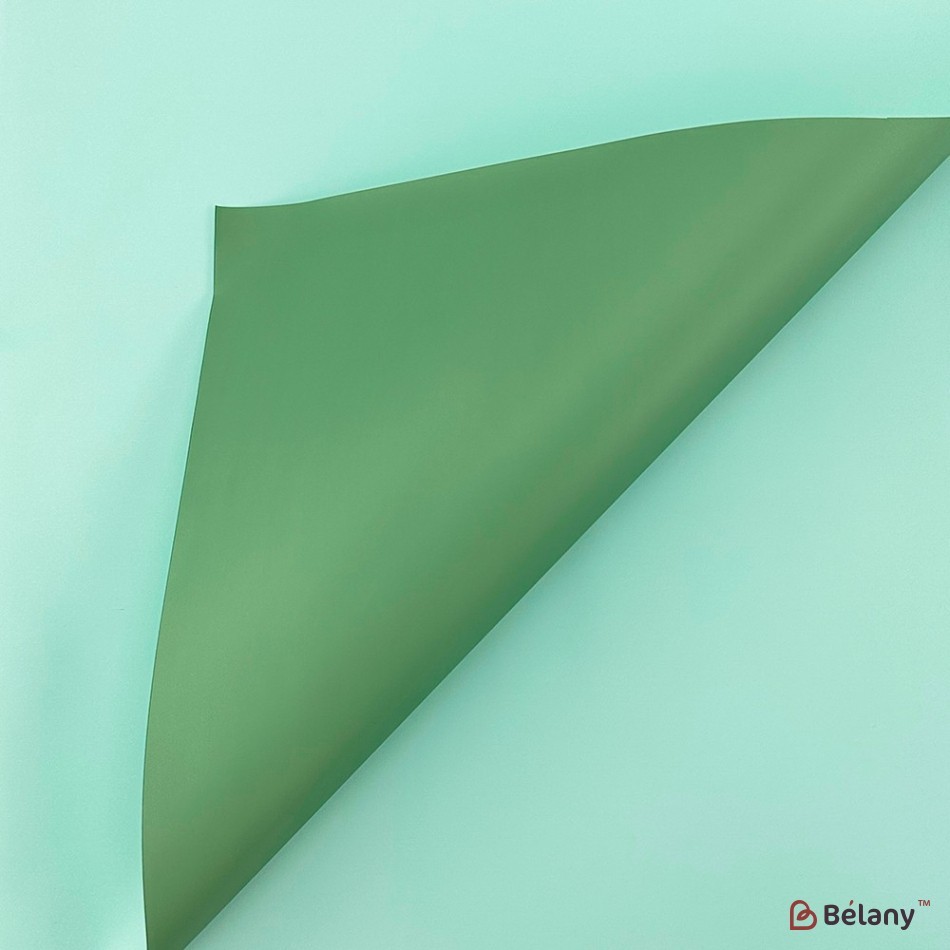 Bicolor cellophane with stripes "Stay happy" green | 3