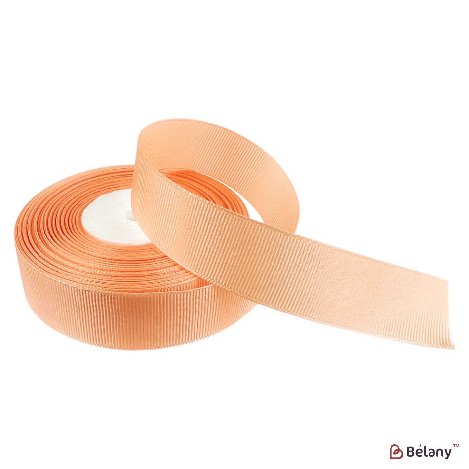 Bandă grosgrain 2,5 cm / 23 m, #22 | 2