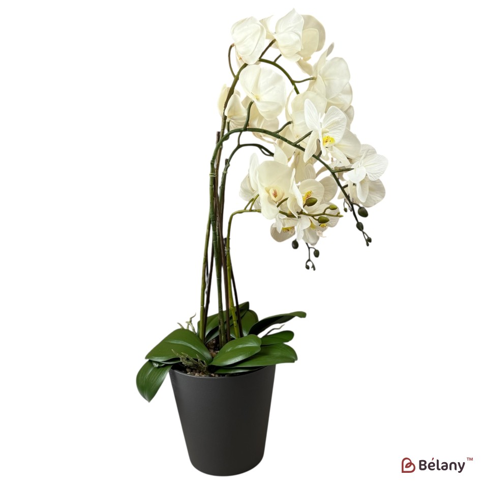 Orhidee artificială albă în ghiveci negru, 78 cm | 3