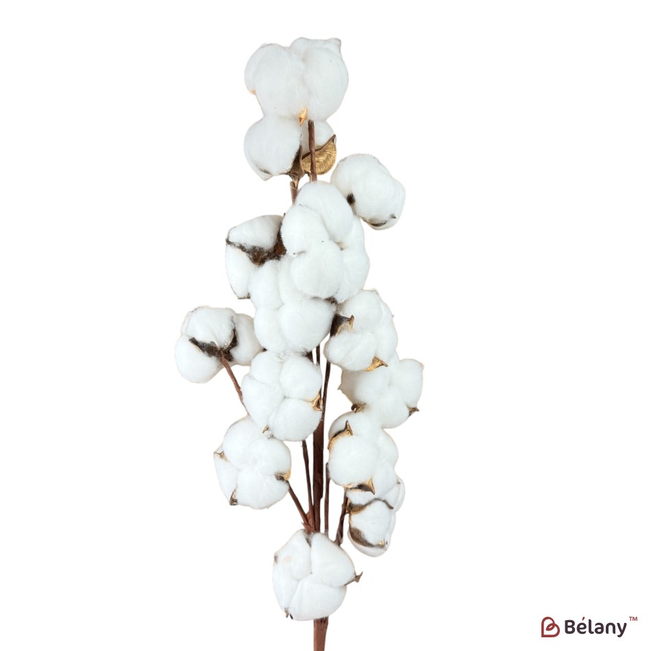 Ramură artificială de bumbac, 14 capsule, 65 cm