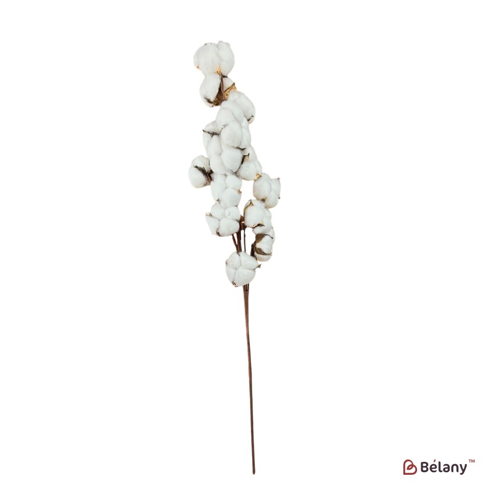 Ramură artificială de bumbac, 14 capsule, 65 cm | 2