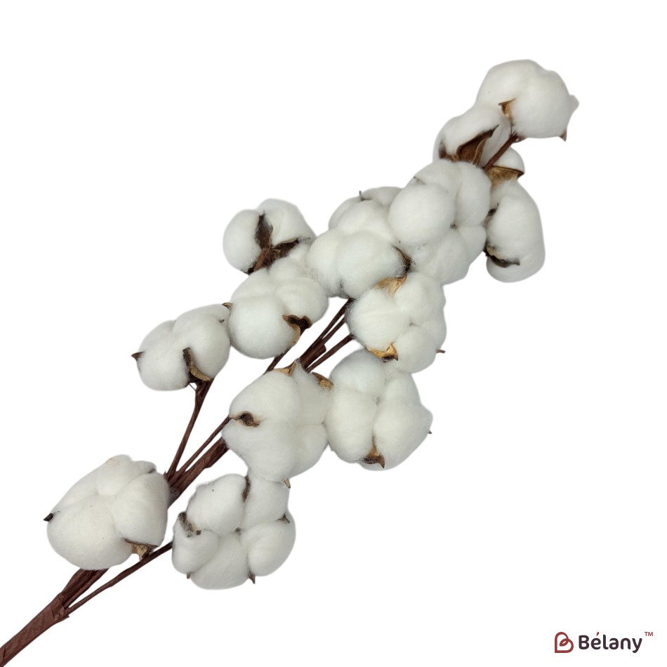 Ramură artificială de bumbac, 14 capsule, 65 cm | 3