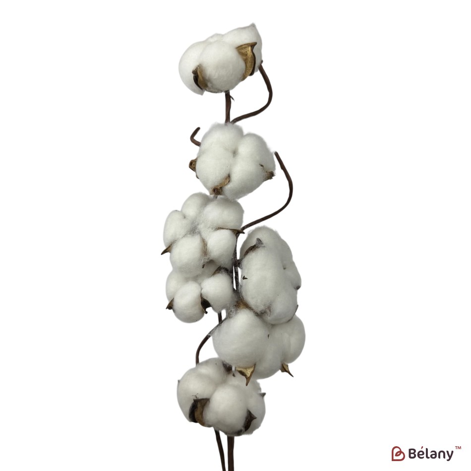 Ramură artificială de bumbac, 7 capsule, 65 cm