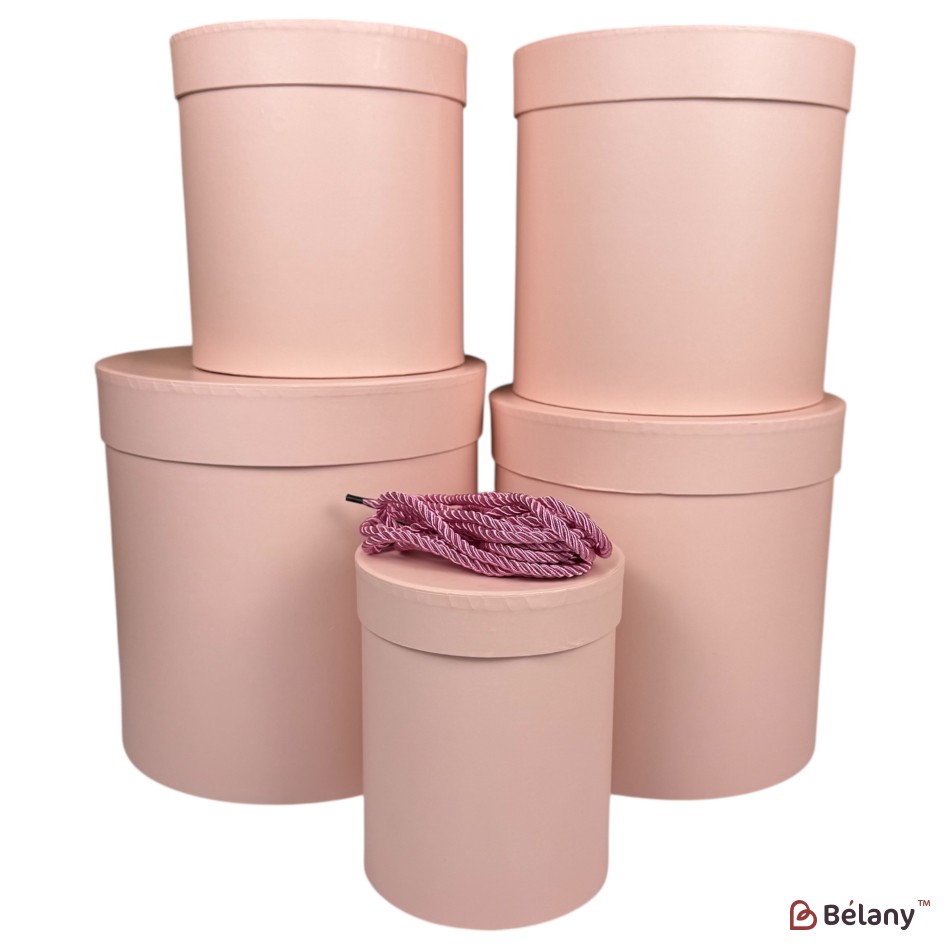 Set cutii pentru pălării roz deschis "One color"