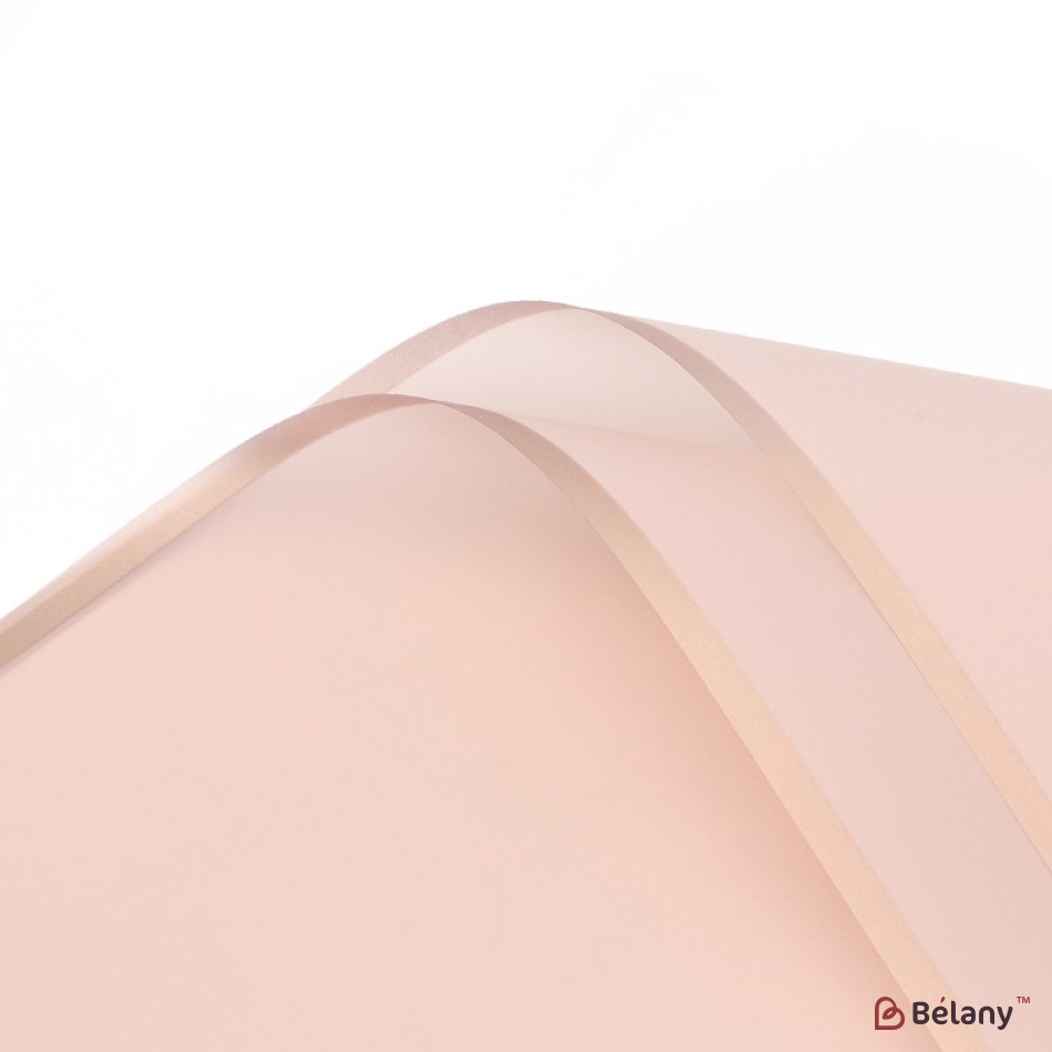 Bujor celofan transparent, cu margine de bronz #11
