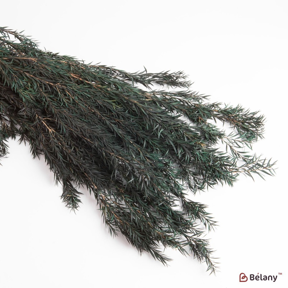 Dried flowers, emerald, 125 grams