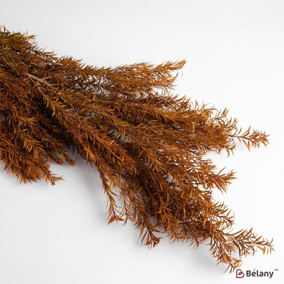Dried flowers, brown, 125 grams