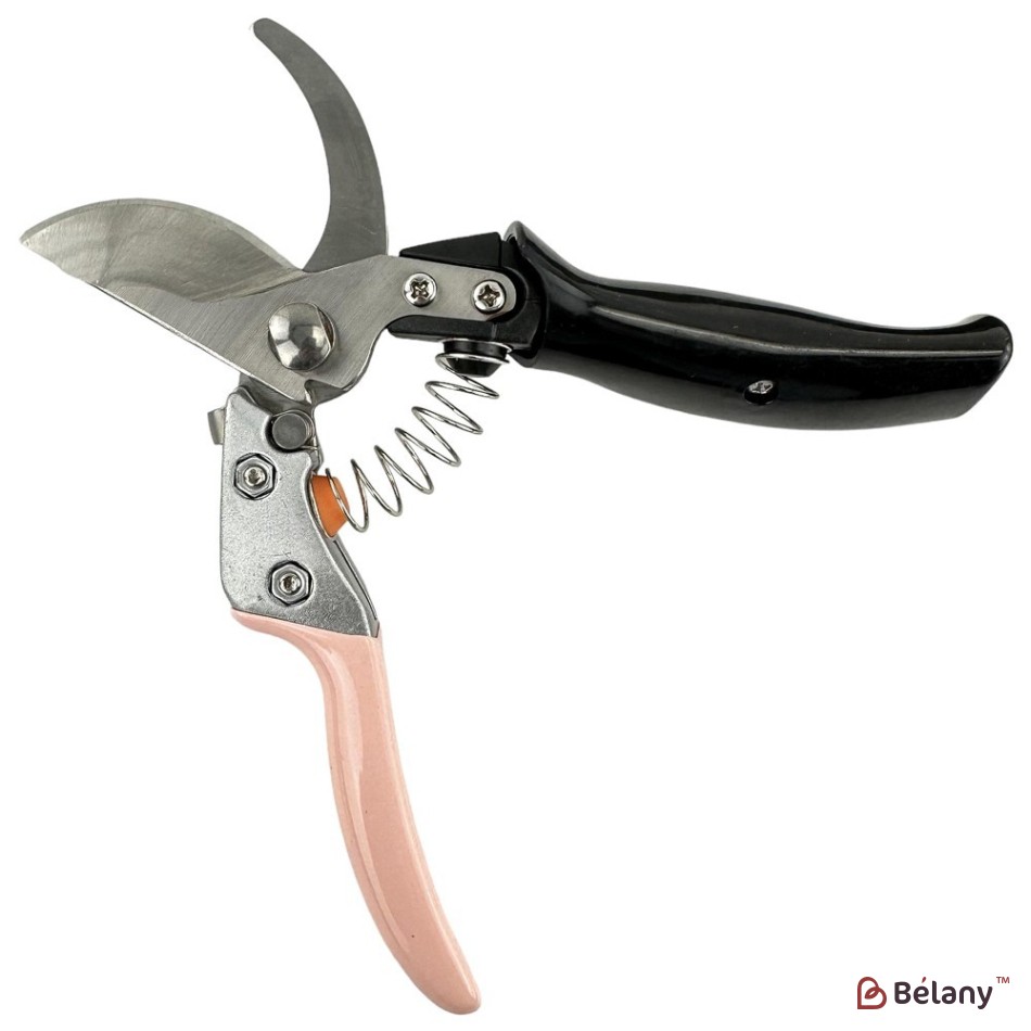 Professional pruning shears "Royalty" pink | 2