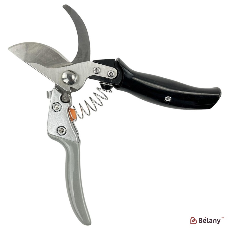 Professional pruner "Royalty" gray | 2