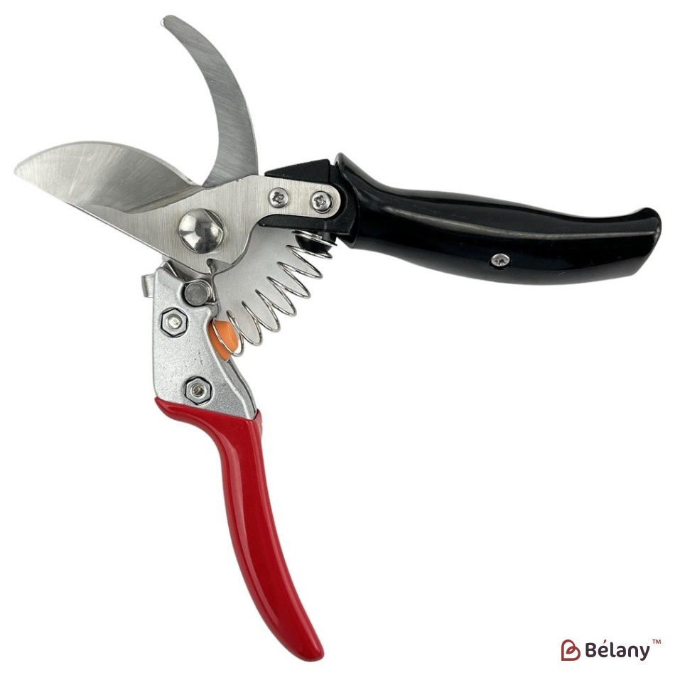 Professional pruner "Royalty" red | 2