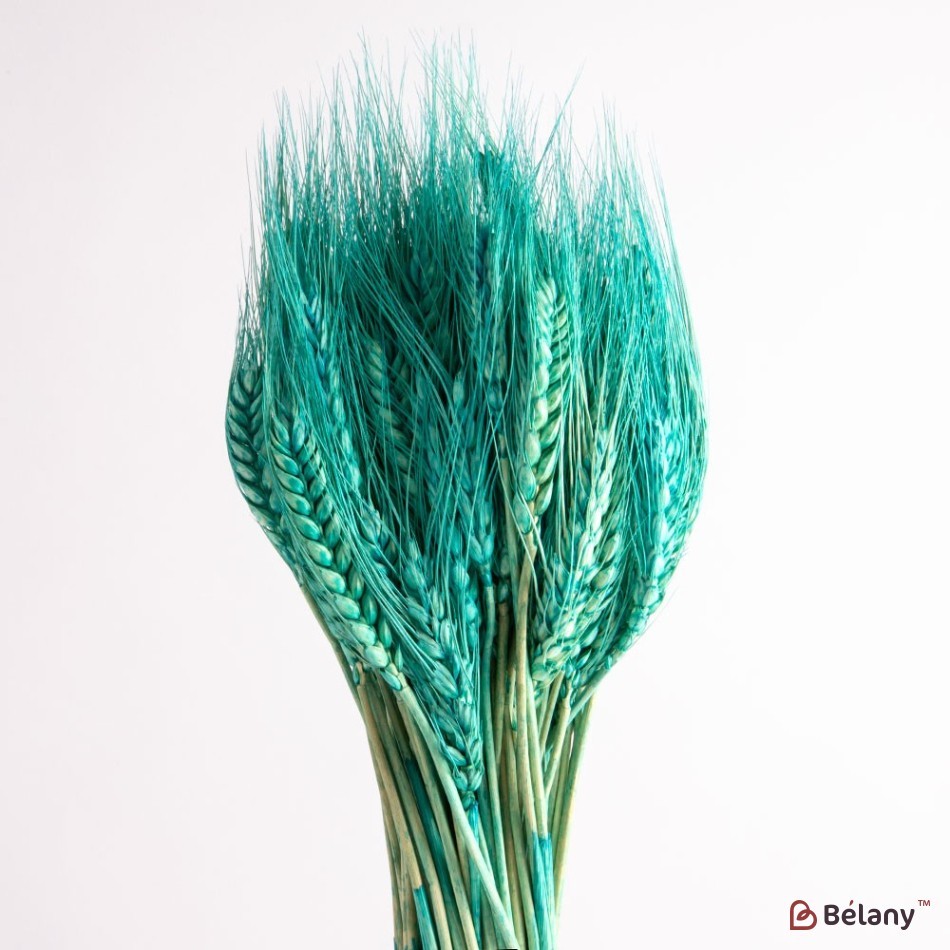 Flori uscate, mentă spice de grâu 120 grame