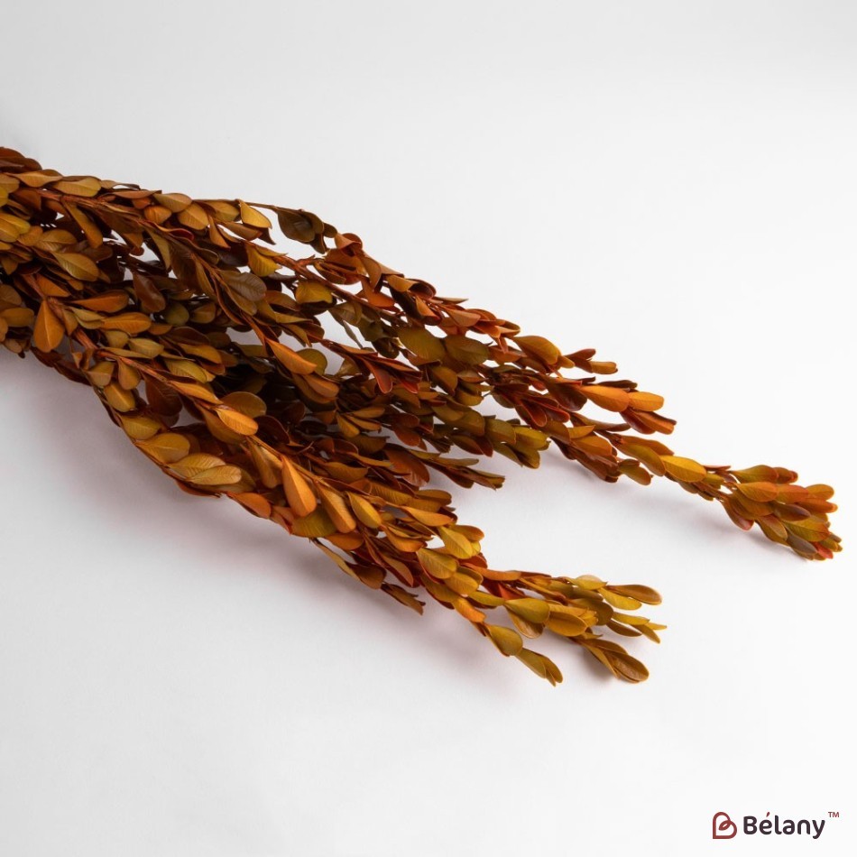 Dried boxwood flowers, yellow, 110 grams