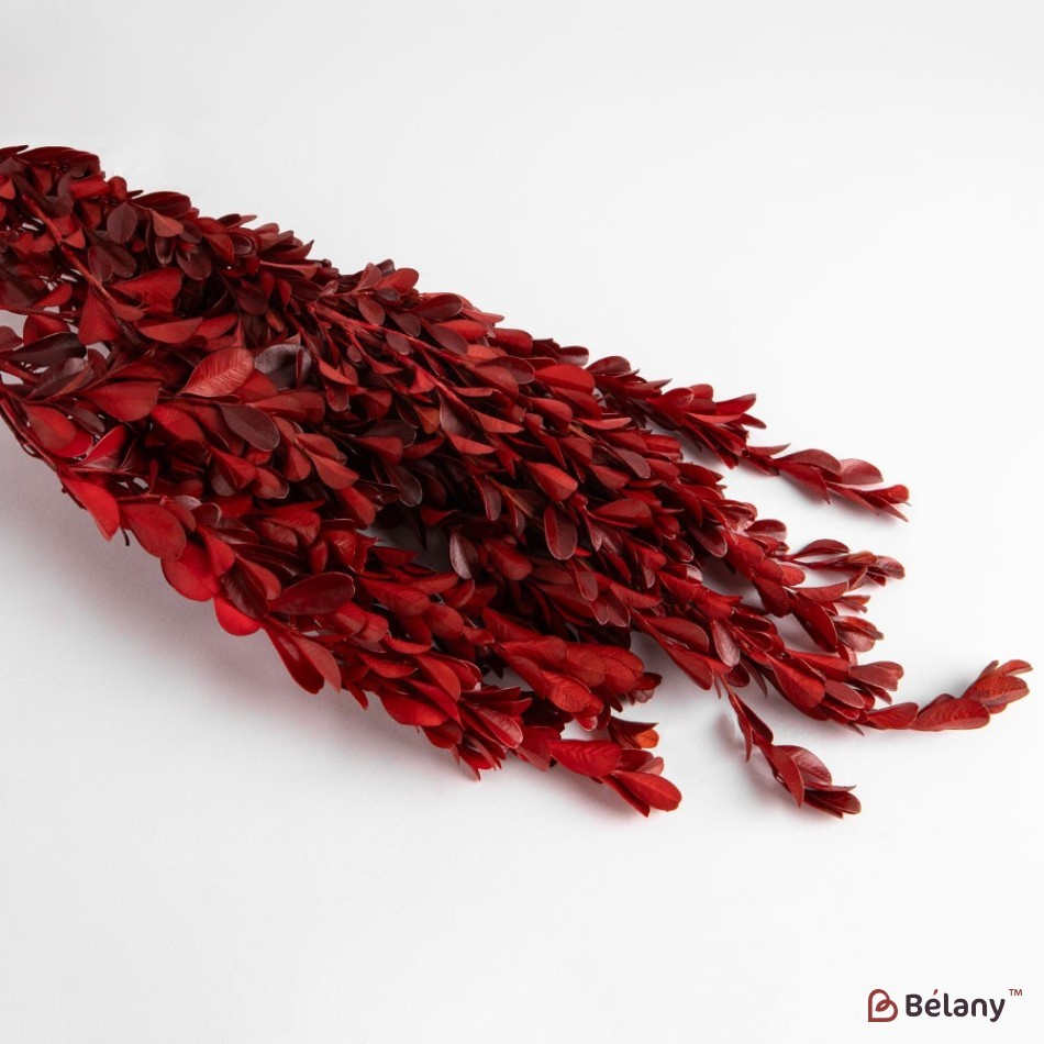 Dried boxwood flowers, red, 110 grams