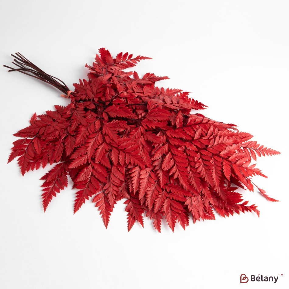 Dried flowers, red, 65 grams
