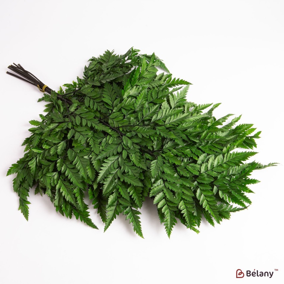 Dried flowers, green, 65 grams