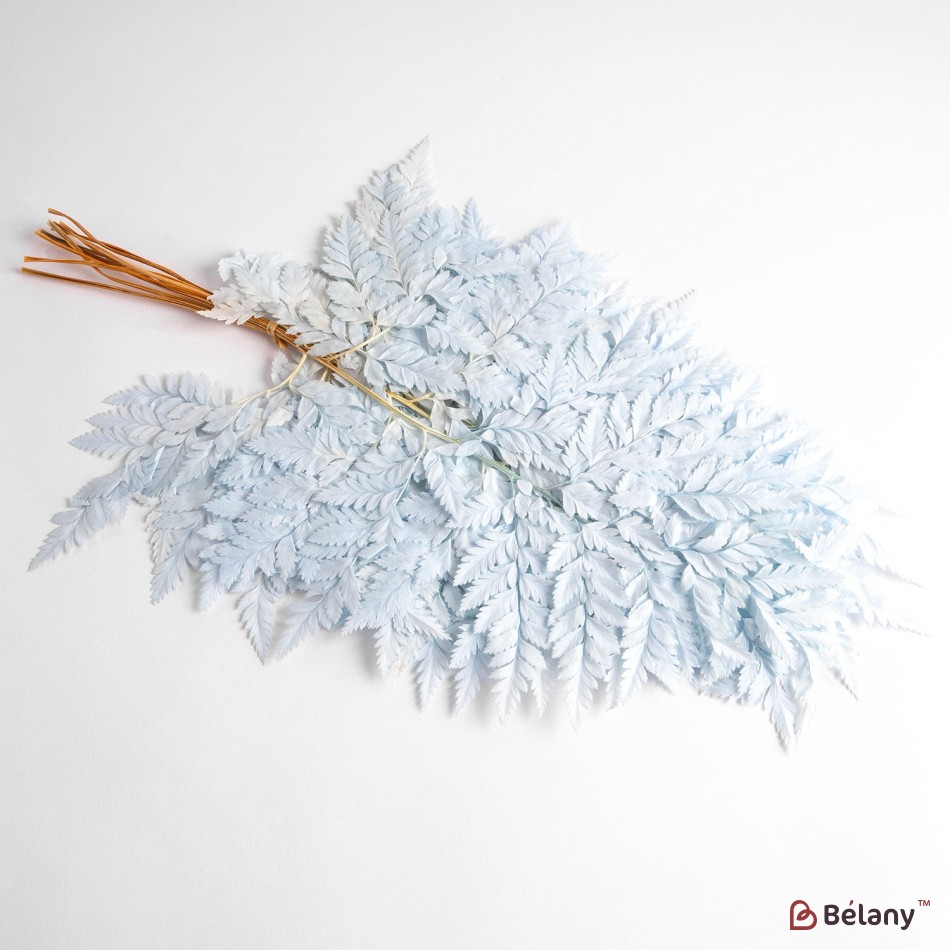 Dried flowers, blue, 65 grams