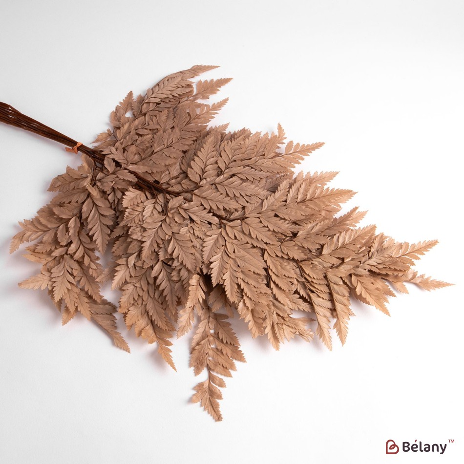 Dried flowers, beige, 65 grams