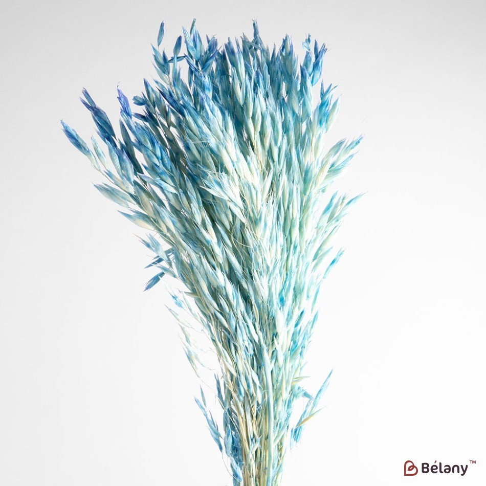 Dried flowers oats, blue, 60 grams