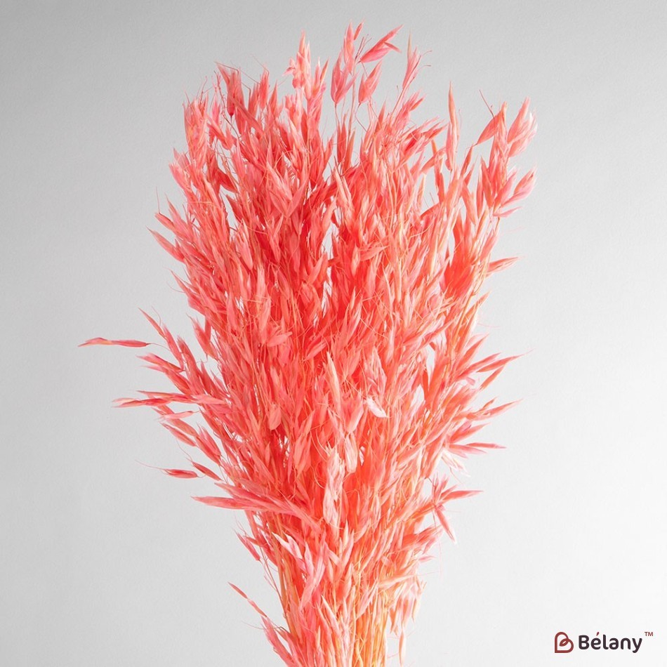 Flori de ovaz uscate, roz, 60 grame