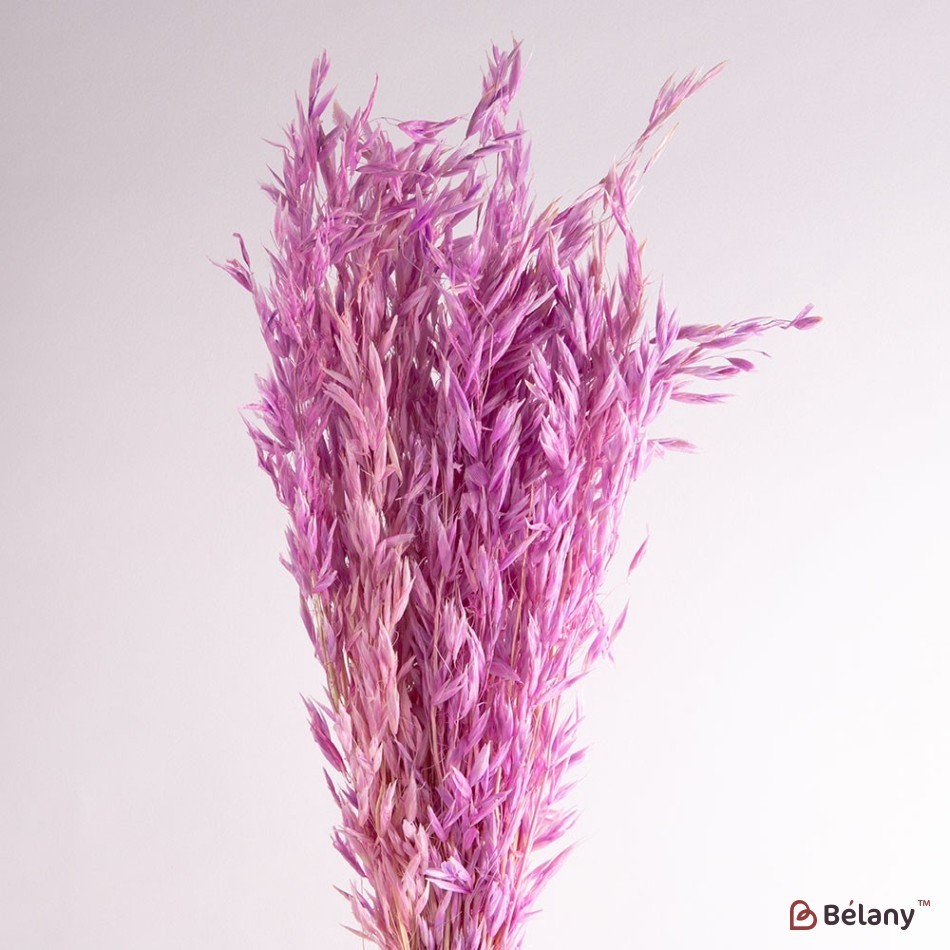 Flori de ovaz uscate, violet, 60 grame