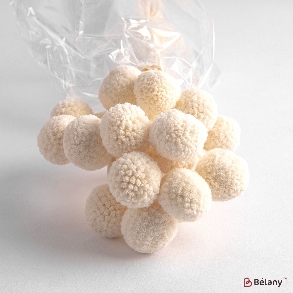 Flori uscate de craspedia, bej, 20 capete, 55 grame | 2