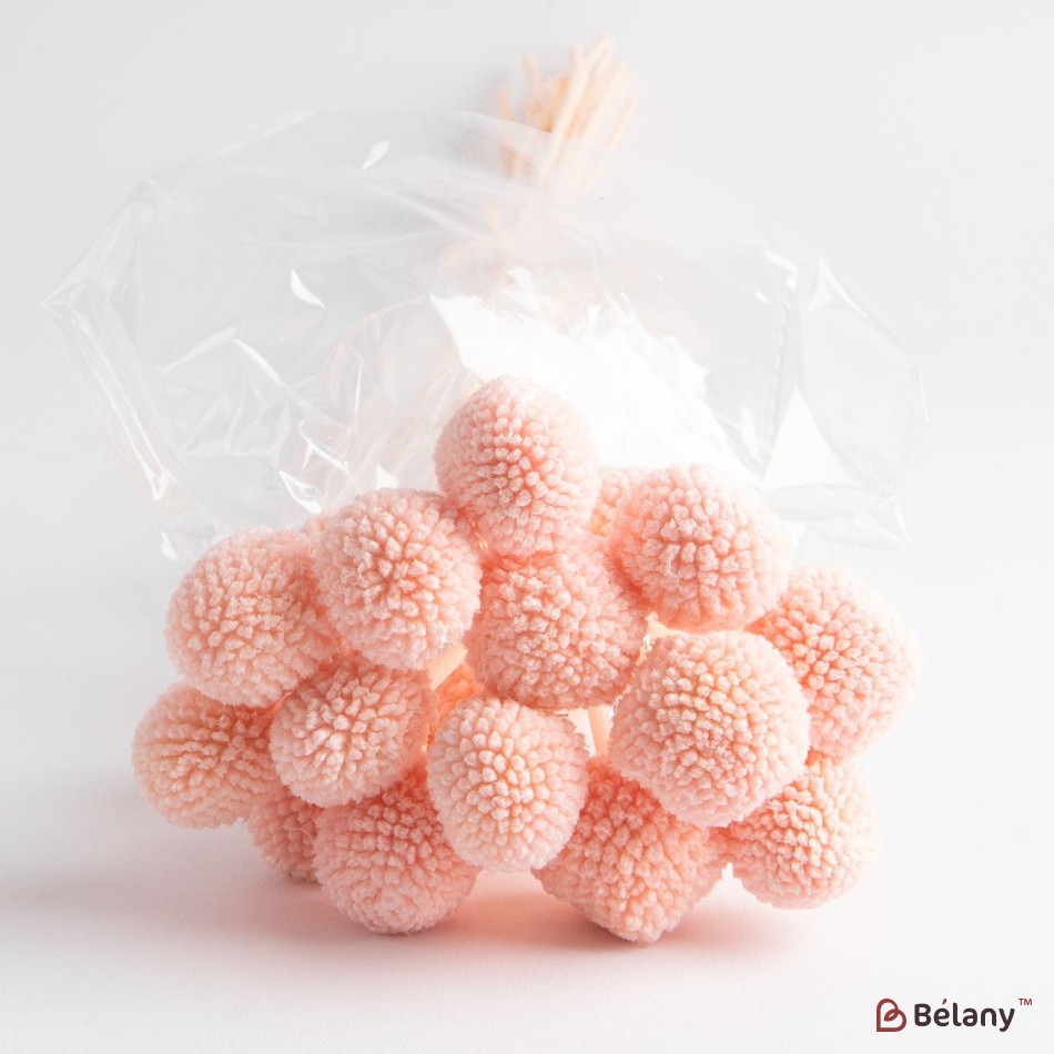 Flori uscate de Craspedia, roz, 20 capete, 55 grame | 2