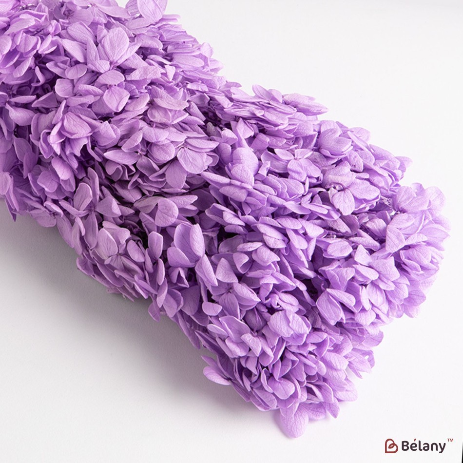 Dried flowers hydrangea, lilac, 70 grams