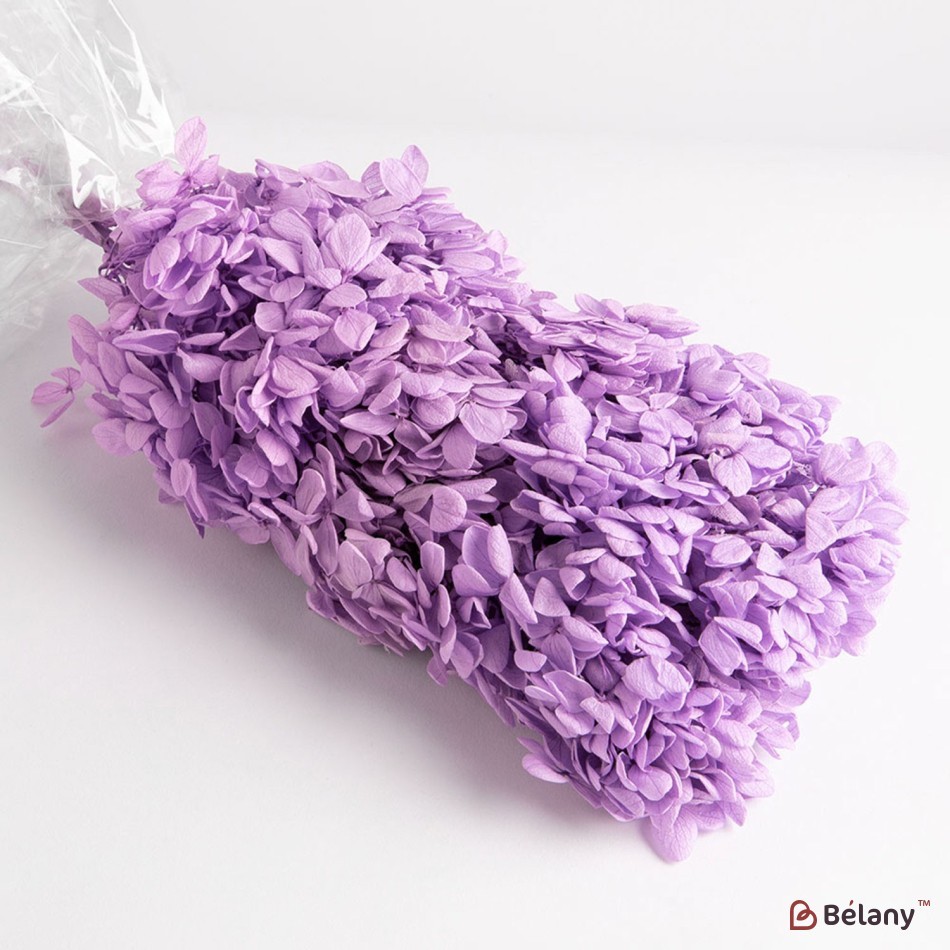 Dried flowers hydrangea, lilac, 70 grams | 2