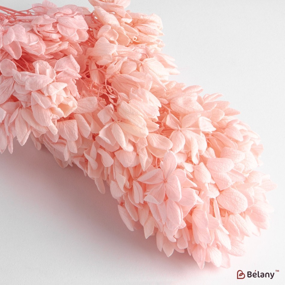 Dried flowers hydrangea, pink, 70 grams