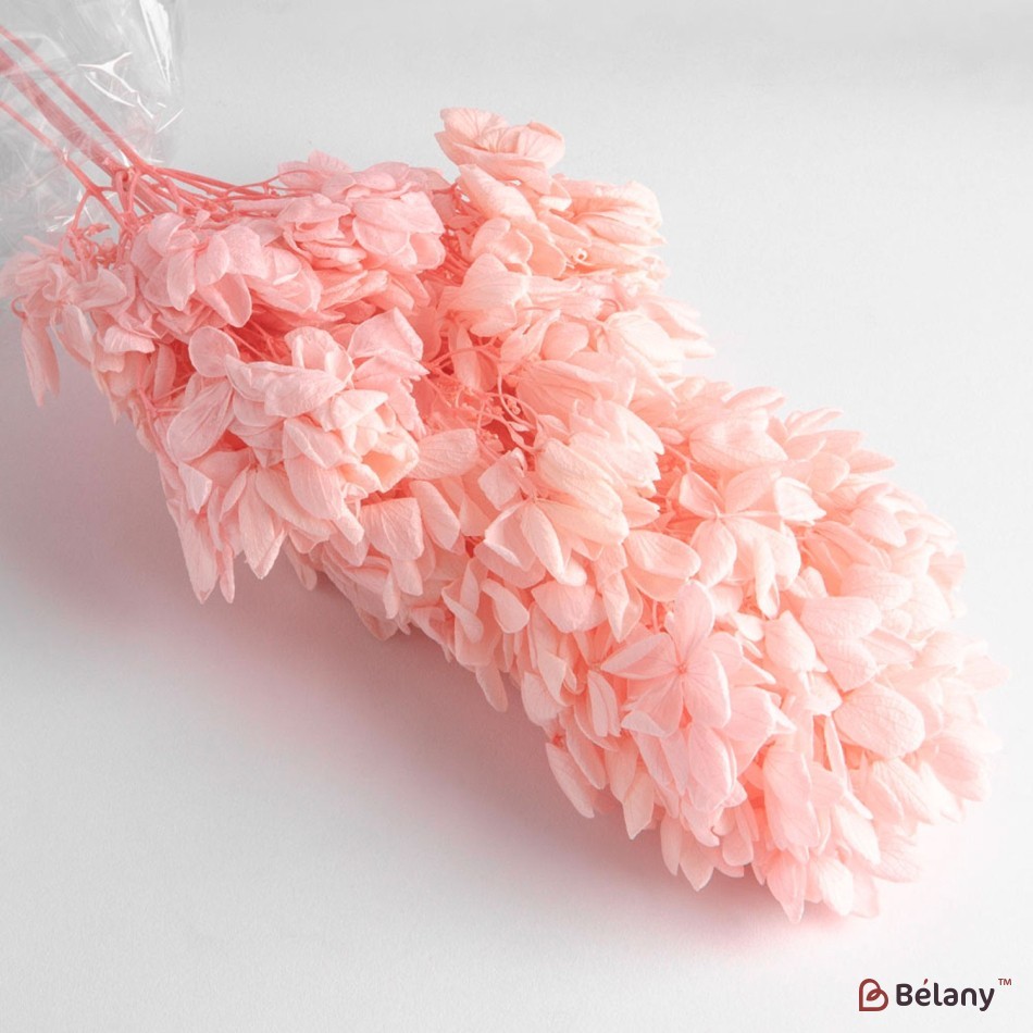 Dried flowers hydrangea, pink, 70 grams | 2