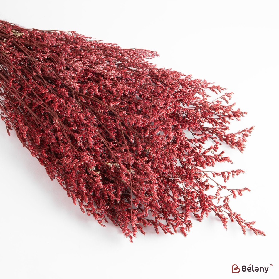 Dried flowers limonium, red, 125 grams