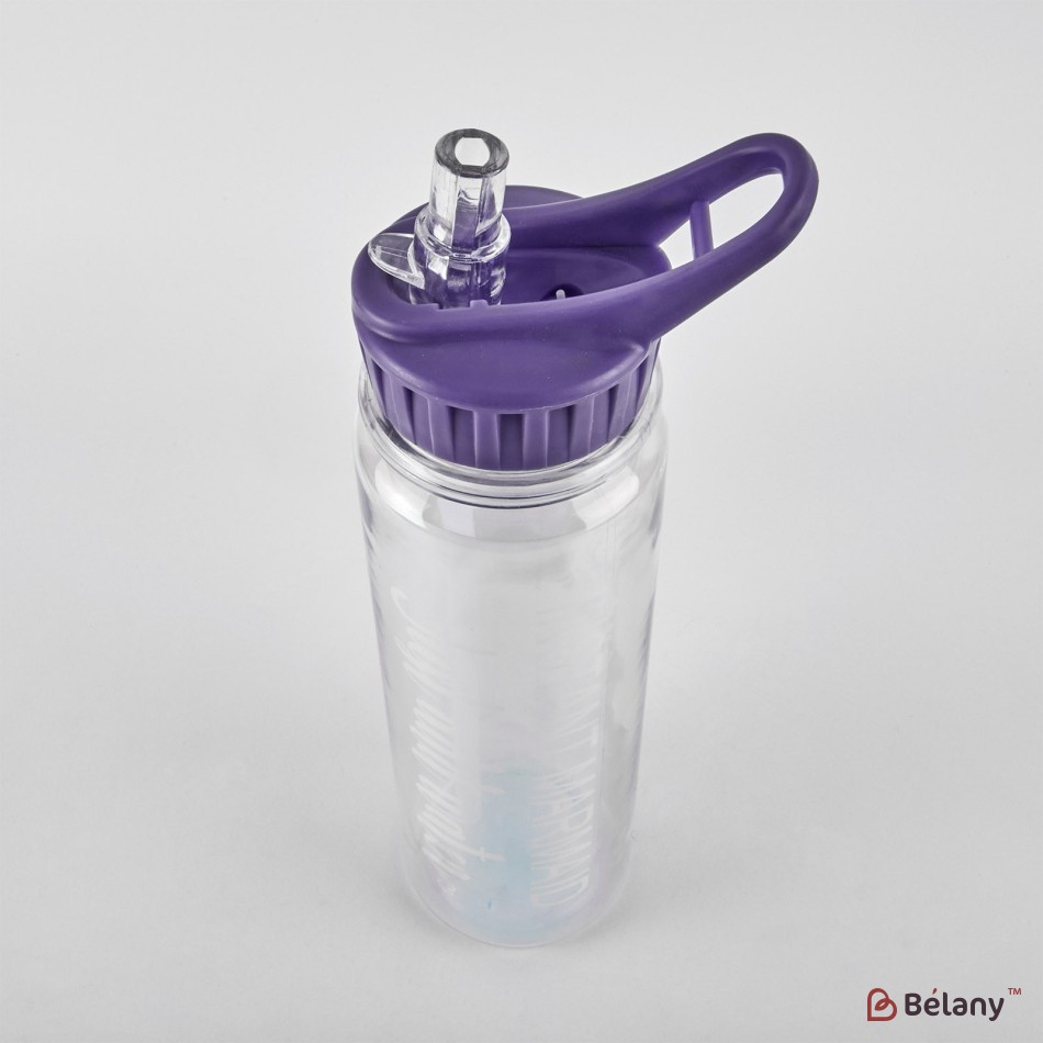 Sticla de apa cu paie, 320 ml, efect oglinda, capac liliac | 2